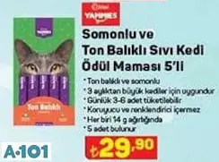 KİWİ YAMMİES SOMONLU VE TON BALIKLI SIVI KEDİ ÖDÜL MAMASI 5'Lİ